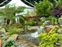 'Rock 'n' Water' show garden